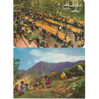 Livros/Acervo/M/POS MADEI 1